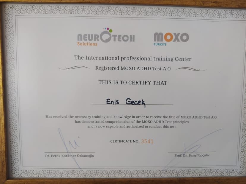 Sertifika / Diploma 2